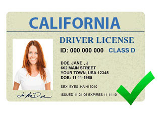 Example Of Driver Licence